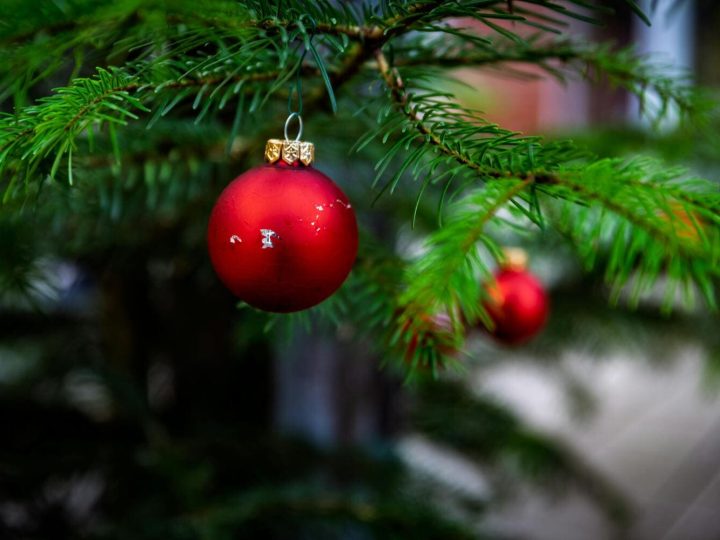 Navidad: noche de “paz” mental